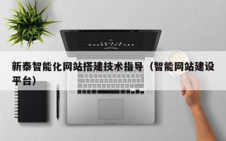 安阳新泰智能化网站搭建技术指导（智能网站建设平台）